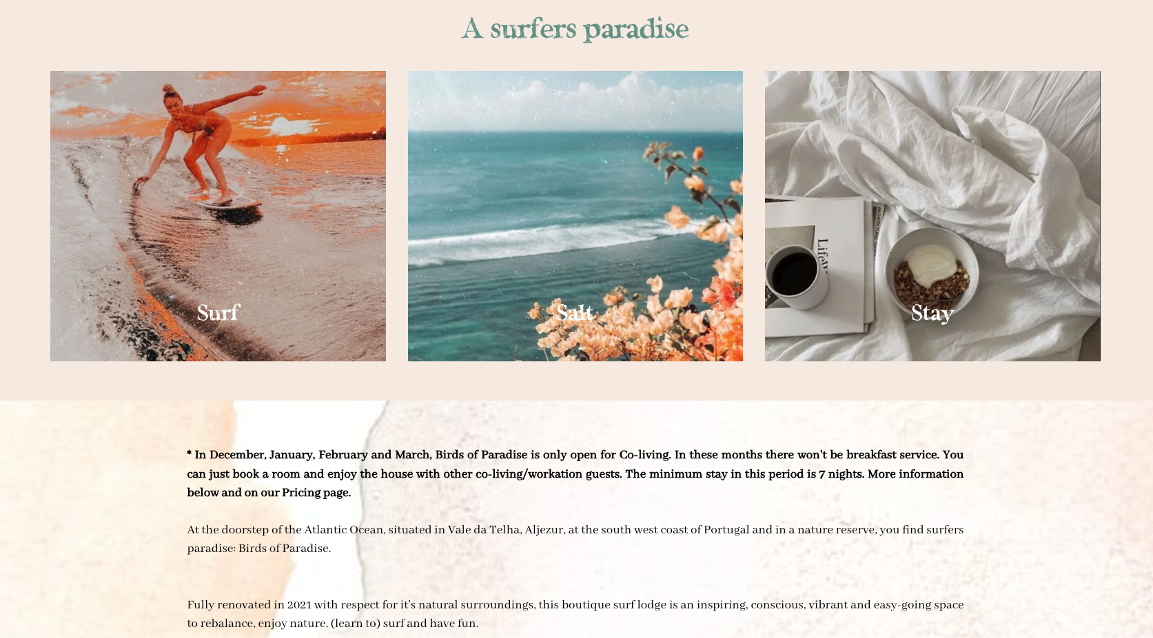 Infographic of an example of best hotel website design: "The Bird of Paradise lodge"